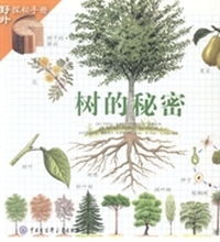 树的秘密（内容一致，印次、封面或原价不同，统一售价，随机发货）