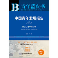 皮书系列·青年蓝皮书：中国青年发展报告NO.3
