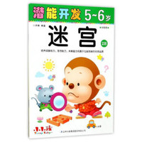 潜能开发：迷宫（5-6岁 学前班 2B）