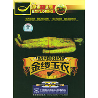金缕玉衣(DVD)