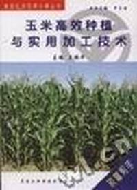 玉米高效种植与实用加工技术