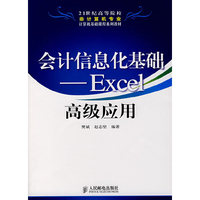 会计信息化基础 Excel高级应用