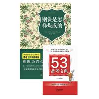 钢铁是怎样炼成的-赠53备考宝典