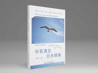 你若遇见，日光倾城