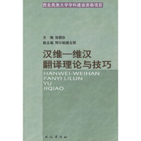 汉维:维汉翻译理论与技巧