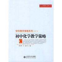中小学教师教学策略书系 初中化学教学策略