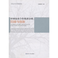 中国农村合作组织分析：回顾与创新