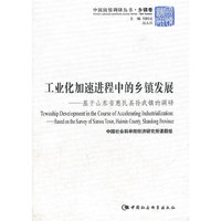 工业化加速进程中的乡镇发展：基于山东省惠民县孙武镇的调研