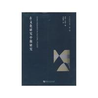 在文化研究中做研究