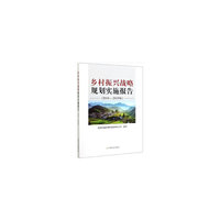 乡村振兴战略规划实施报告（20182019年）
