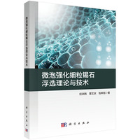 微泡强化细粒锡石浮选理论与技术9787030842275任浏祎科学出版社