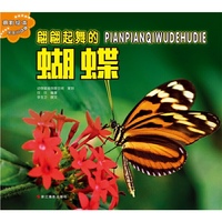 翩翩起舞的蝴蝶-摄影绘本乐乐小动物