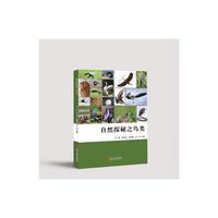 自然探秘之鸟类