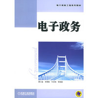 电子政务——电子商务工程系列教材