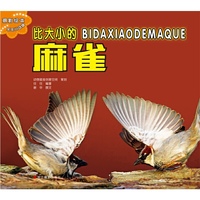 比大小的麻雀-摄影绘本乐乐小动物