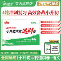 2025阳光同学小升初冲刺速刷卷冲刺小升初分类试卷真题卷语文历年真题试卷六年级小升初总复习人教版