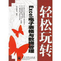 轻松玩转——Excel电子表格与数据管理