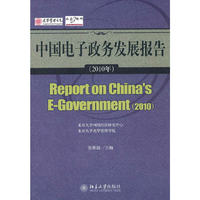 2010年-中国电子政务发展报告