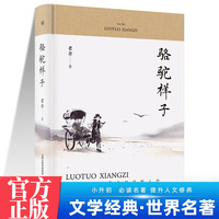 骆驼祥子 中学生推荐阅读 名家经典文学小说世界名著图书籍老舍经典名著语文阅读推荐丛书 青少年完整版无删减原著正版 小学中学初中课外书文学名著