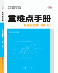 2020版王后雄重难点手册九年级化学下册 人教版 课堂知识点练习册