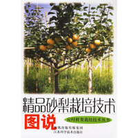 精品砂梨栽培技术图说