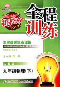 全程训练：九年级物理（下）人教版
