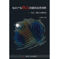 知识产权热点问题的法律剖析－失误、风险与对策研究