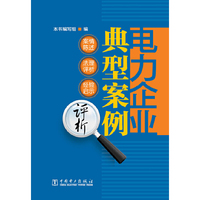 电力企业典型案例评析