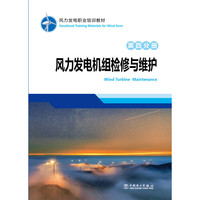 风力发电基础理论(第一分册)（内容一致，印次、封面或原价不同，统一售价，随机发货）