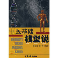 中医基础模型说