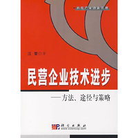 民营企业技术进步：方法、途径与策略