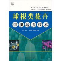 球根类花卉组织培养技术