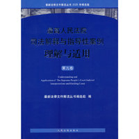 最高人民法院司法解释与指导性案例理解与适用（第九卷）