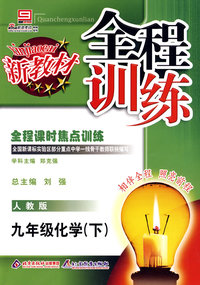 全程训练：九年级化学（下）人教版