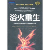 浴火重生-关于如何激励员工支持企业变革的财经小说