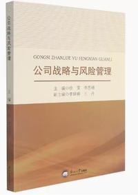 公司战略与风险管理