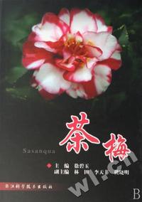 茶梅(精)