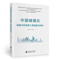 中国城镇化进程中的政策工具适配性研究
