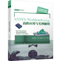 ANSYS Workbench2024高阶应用与实例解析           买买提明·艾尼 陈华磊 王文