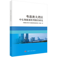 粤港澳大湾区中长期能源转型路径研究9787030839886陈勇科学出版社