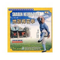 地躺梅花拳…中国民间传统武术经典套路(VCD)