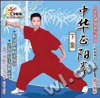 中华正阳拳 下集(VCD)