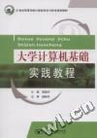 大学计算机基础实践教程