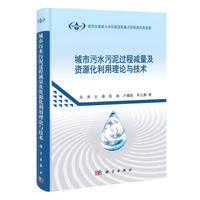 城市污水污泥过程减量及资源化利用理论与技术