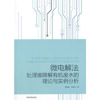 微电解法处理难降解有机废水的理论与实例分析