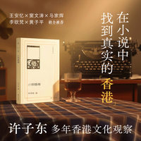 许子东文集6：小说香港