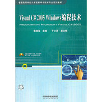 Visual C 2005 Windows编程技术