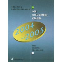 中国大型企业发展报告(2004-2005)