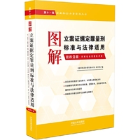 图解立案证据定罪量刑标准与法律适用（第十一版，第四分册）