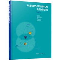 双金属协同电催化剂及性能研究